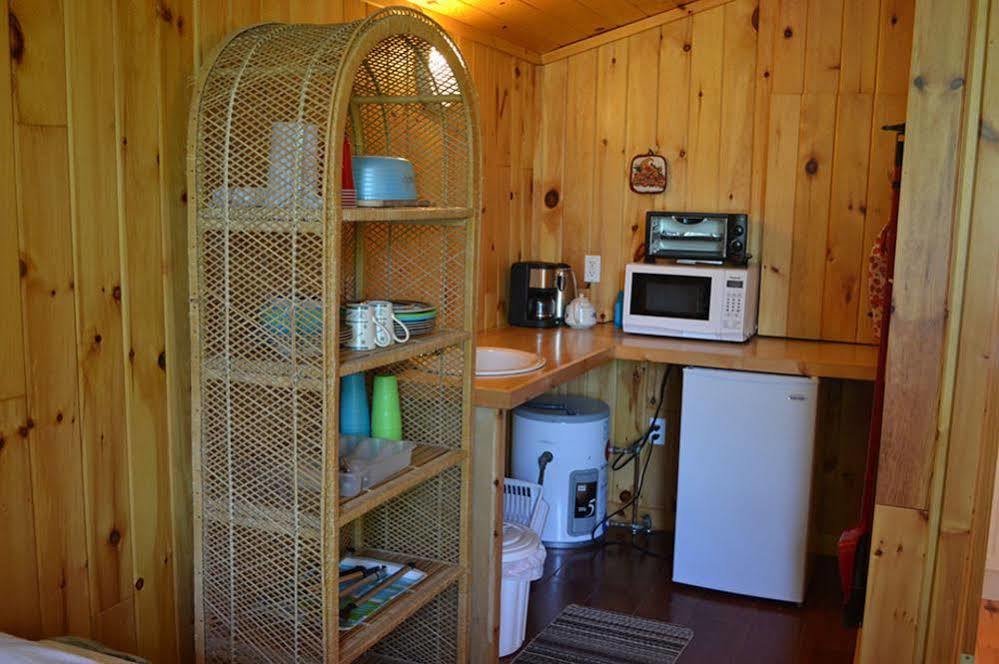 Birchland Cottages Iron Bridge Екстер'єр фото